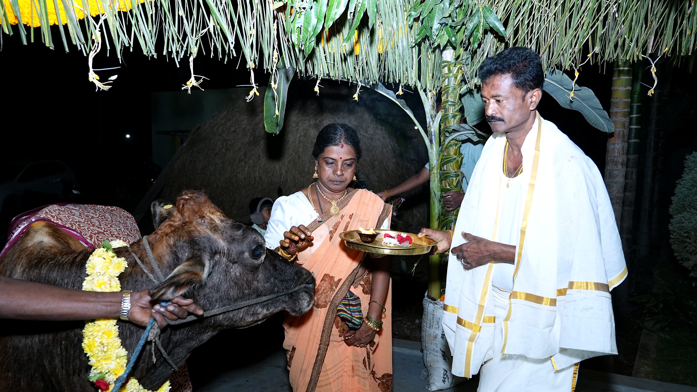 Traditional celebration in a rural setting near Bengaluru, photographed by Lumeora Studios